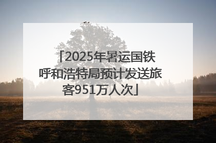 2025年暑运国铁呼和浩特局预计发送旅客951万人次