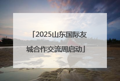2025山东国际友城合作交流周启动