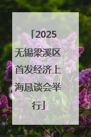 2025无锡梁溪区首发经济上海恳谈会举行