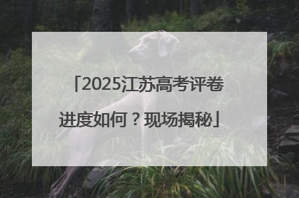 2025江苏高考评卷进度如何？现场揭秘