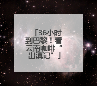 36小时到巴黎！看云南咖啡“出滇记”