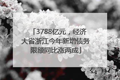 3788亿元，经济大省浙江今年新增债务限额同比涨两成