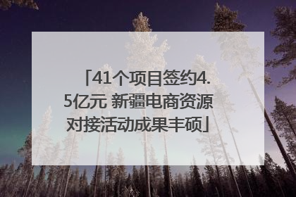 41个项目签约4.5亿元 新疆电商资源对接活动成果丰硕