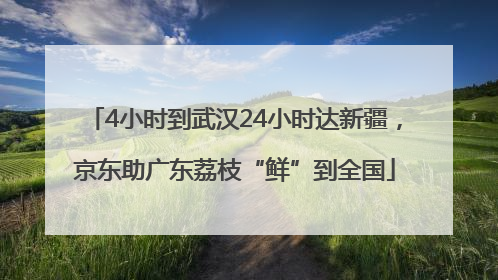 4小时到武汉24小时达新疆，京东助广东荔枝“鲜”到全国