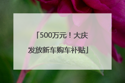 500万元！大庆发放新车购车补贴