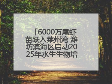 6000万尾虾苗跃入莱州湾 潍坊滨海区启动2025年水生生物增殖放流工作