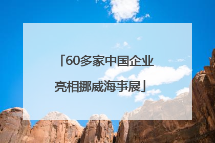 60多家中国企业亮相挪威海事展