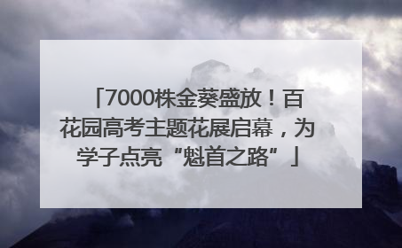 7000株金葵盛放！百花园高考主题花展启幕，为学子点亮“魁首之路”