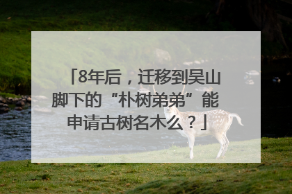 8年后，迁移到吴山脚下的“朴树弟弟”能申请古树名木么？