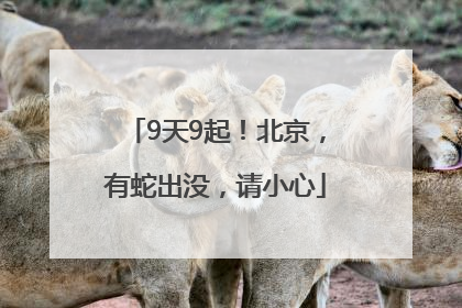 9天9起！北京，有蛇出没，请小心