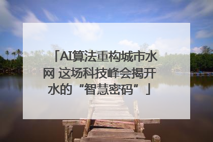 AI算法重构城市水网 这场科技峰会揭开水的“智慧密码”
